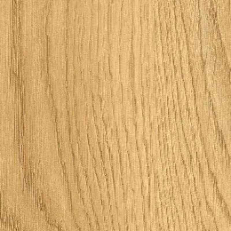 Abet Honey 1978 bark